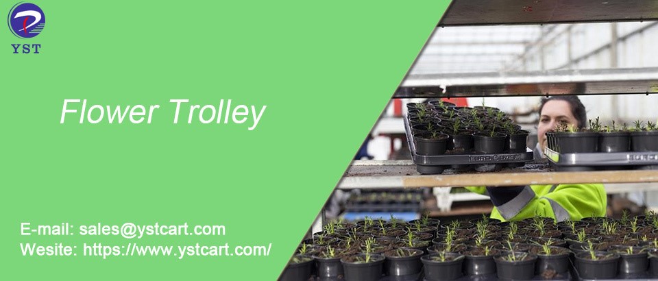 How to grow flowers with flower trolleys How to grow flowers with flower trolleys