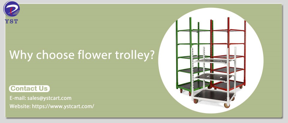 Why choose the flower trolley Why choose the flower trolley