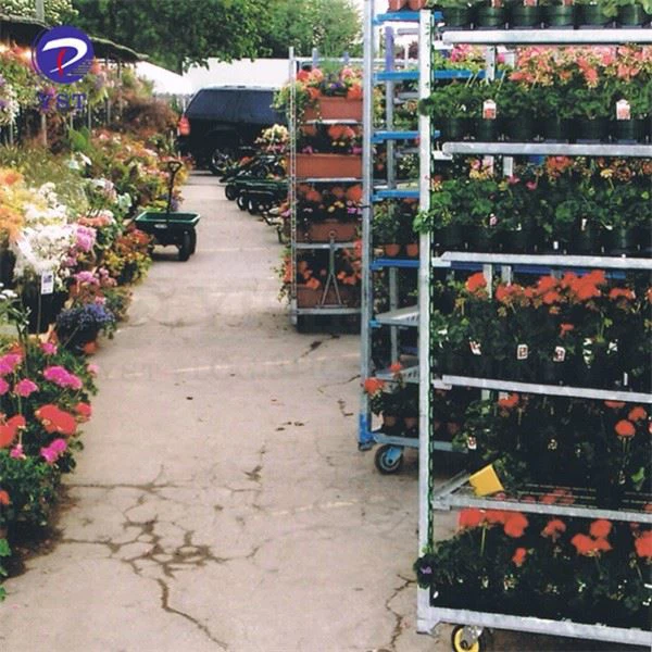Greenhouse Galvanized Flower Carts