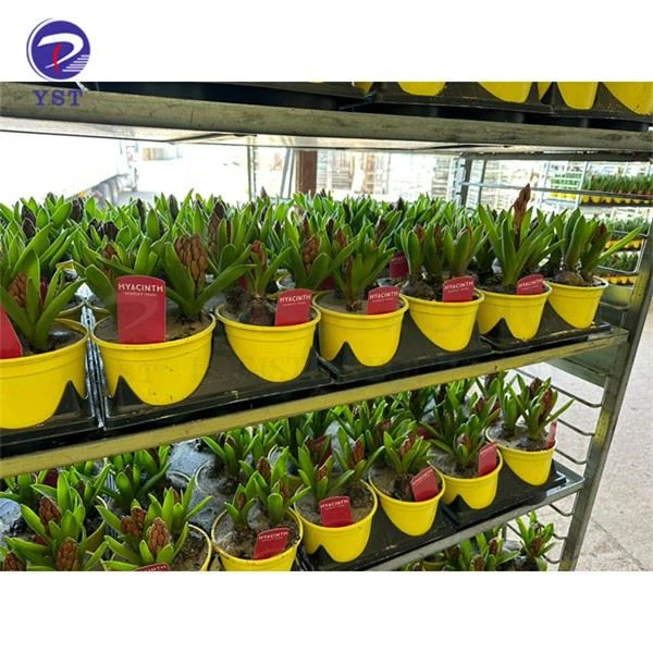 Gardening Flower Shelf Transport Cart