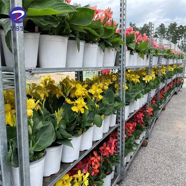 Greenhouse Warehouse Flower Cart