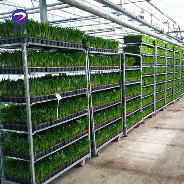 Plant Greenhouse Trolley