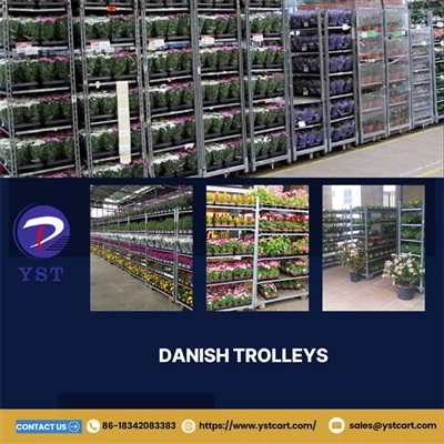 Daniya trolleyalaridan gul biznesida foydalanishning afzalliklari